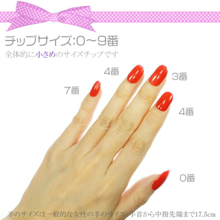 楽天市場】ネイルチップ N17 ゆるやかオーバル クリア チップ ネイル 