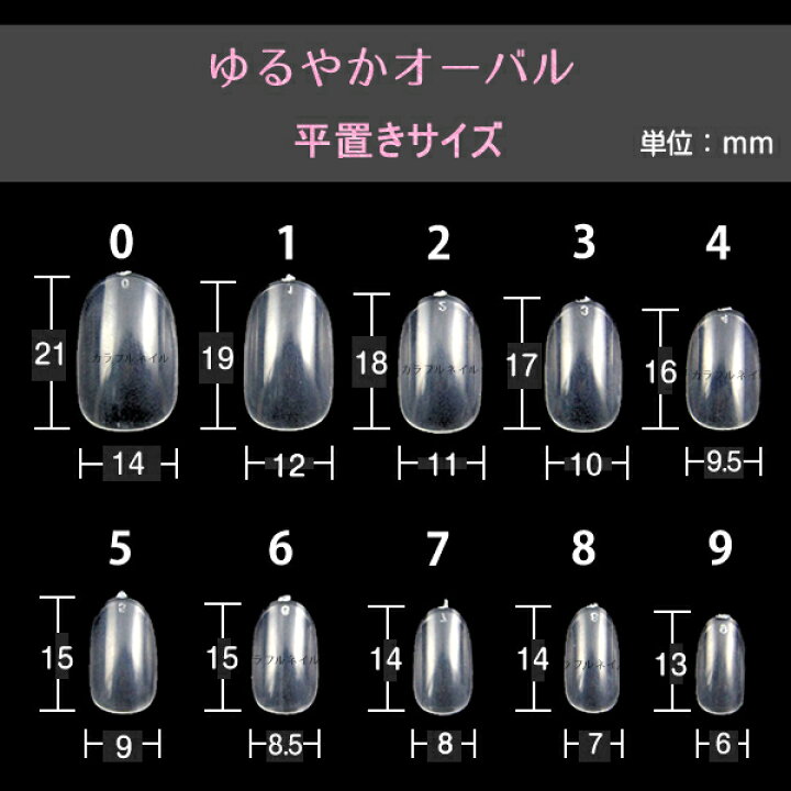 楽天市場】ネイルチップ N17 ゆるやかオーバル クリア チップ ネイル  
