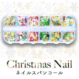 クリスマス パーツ ネイル ホログラム レジン ネイルアート セルフネイル 冬ネイル Xmas Christmas レジン封入