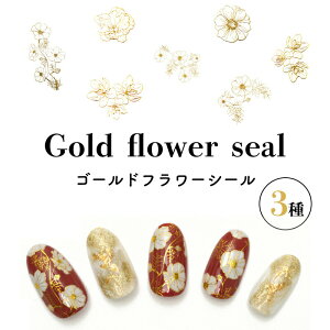 lCV[ lCXebJ[ \邾 S[h t[ ^bN C WFlC lCA[g l ɂ