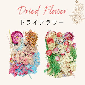 hCt[ vU[uht[ԍ  A\[g Wp ANZT[p[c  