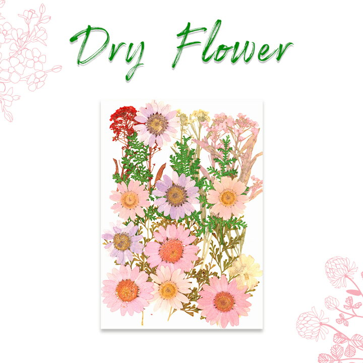 楽天市場 ドライフラワー 押し花 花材 ブーケ デコパーツ ハーバリウム プレスドフラワー ハンドメイド 花素材 プリザーブドフラワー カラフルネイル
