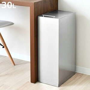 ゴミ箱 30L スライド ステンレス ( ごみ箱 30リットル スリム 幅20.5cm 角型 ふた付き シンプル スタイリッシュ キッチン リビング オフィス 蓋付き スライド蓋 袋止め付き ダストボックス おし