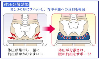 座り心地が良い立体クッション・ネイビー