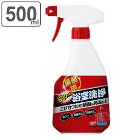 お風呂洗剤 500ml 業務用 スカッと浴室洗浄 （ 風呂 バス 浴室 浴槽 湯アカ 皮脂 掃除 清掃 湯垢 風呂洗剤 業務用洗剤 石鹸カス 洗剤 汚れ 床 壁 お風呂用洗剤 湯あか バスクリーナー ） 【3980円以上送料無料】