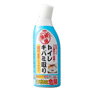 gC Ɩp gC ΂ݎ 300ml i gC|  ΂ ֊ A t ֊헠 { gCp ~g̍  |ObY |pi jy3980~ȏ㑗z