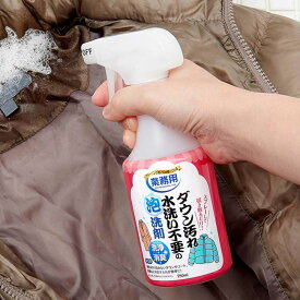 泡洗剤 ダウン汚れ 水洗い不要 スプレーして拭くだけ 消臭 無香料 コート アウター 服 （ 衣類 洗剤 洗わない 泡 ダウン 汚れ 落とす 冬物衣類 お手入れ エリ汚れ そで汚れ 皮脂汚れ 食べこぼし プロ仕様 ）【3980円以上送料無料】