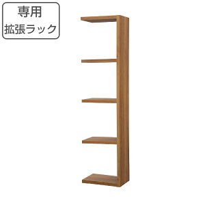 Rectax専用 拡張ラック 4段 組み合わせ収納 ( 送料無料 オープンボックス ラック 飾り棚 ディスプレイラック 棚 本棚 オープンシェルフ ボックス 収納ラック 収納 収納棚 ナチュラル 組み合わ