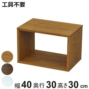オープンラックシステム 幅40×奥行30×高さ30cm 組合せ自由 工具不要 ( オープンボックス 組み合わせ システムラック ラック 飾り棚 ディスプレイラック ボックス 収納ラック 収納 収納棚 オ
