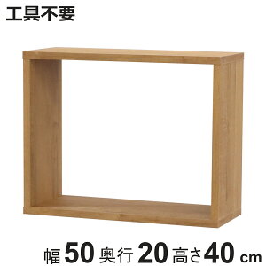 I[vbNVXe X^Cv 50×s20×40cm gR Hsv i bN I I[vbN [ gݍ킹 ȒP ؖڒ Vv {bNX {I sX uE j