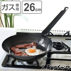 H[ACU ubNs[} tCp 26cm i aizawa S KXΐp { StCp uߓ ߓ S̃tCp ^tCp ACU KXΑΉ 26Z` S S