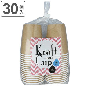 Rbv NtgJbv 280ml 30 i 30 y[p[Rbv ĝăRbv ĝ Rbv Jbv ĝėe sNjbN AEghA Lv o[xL[ BBQ j y3980~ȏ㑗