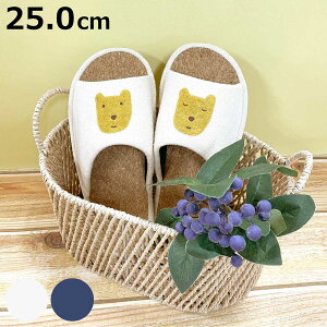 Xbp ̂قق L 25.0cm i  }^mAcR RNXbp pCn AbvP hJ OJ [Xbp gC CeAG  p É  jy3980~ȏ㑗