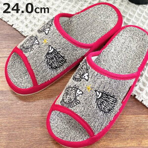 Xbp TE[\ т͂˂ M 24.0cm i  fB[X ėp T[\ nlY~ G OJ   24cm [Xbp gC CeAG  p  