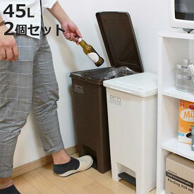 ゴミ箱 45L 同色2個セット エバン ペダルペール ふた付き （ ごみ箱 ペダル式 45リットル 分別 蓋つき プラスチック フタ付き 足踏み 3分別 ダストボックス ペダル 蓋付き 袋 見えない ペール キッチン おしゃれ ）【3980円以上送料無料】