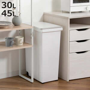 S~ 30L 45L Go vbVy[zCg vbV LX^[t i ݔ 30bg 45bg ^b` ӂt c^ X Lb` Vv EBAN ܎~ߕt ܂ɂ