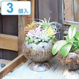 プランター ドットココカッププランター 3個セット （ 植木鉢 ポット プラントポット 脚付き カッププランター ココナッツ スタンド 置く 天然素材 穴あき ドット 鉢 植物 観葉植物 園芸 鉢カバー 直植え ガーデニング エクステリア ） 【3980円以上送料無料】