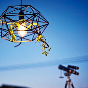 y_gCg Ɩ Cg LHT-726 VƖ i  Ɩ y_gƖ ԐڏƖ V[OCg rO _CjO Lb`   Q H X m  V[