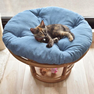 ペットスツール クッション付 籐フレーム 約幅55cm ( 送料無料 ラタン製 ペット用 椅子 チェア ベッド ペット用クッション 天然素材 完成品 ラタン家具 小型ペット用 ペット専用 猫用 犬用