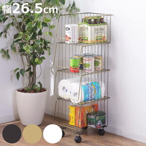 X^bLOS 26.5cm 4i XgbJ[ LX^[t i C[oXPbg S bN oXPbg [ ߗގ[ G  ߗ [  X^bLO {bNX li 