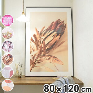 A[gpl 80×120cm i OtBbNpl fUC{[h  k t[t G G A[g CeA Ǌ| _  傫   CXg ʐ^  rO z z