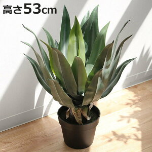 lHϗtA AKx 53cm tFCNO[  i ϗtA tFCN lHA A[gO[  O[  bNX A  lH ͂Ȃ sv ȒP  CeA