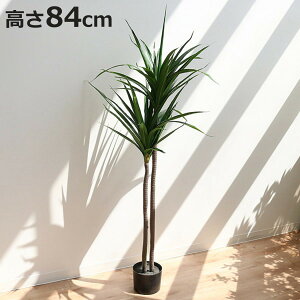 lHϗtA hZi 84cm tFCNO[  i ϗtA tFCN lHA A[gO[  O[  bNX A  lH ͂Ȃ sv ȒP  Ce