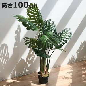 lHϗtA Xe 100cm tFCNO[  i ϗtA tFCN lHA A[gO[  O[  bNX A  lH ͂Ȃ sv ȒP  C