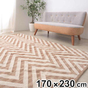 O 􉽊w͗l O}bg 170×230cm i O}bg J[ybg O~ }bg Rbg100 ɗD qǂ N VRf zbgJ[ybgΉ gΉ  k obOt