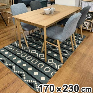 O 􉽊w͗l O}bg 170×230cm i O}bg J[ybg O~ }bg Rbg100 ɗD qǂ N VRf zbgJ[ybgΉ gΉ  k obOt