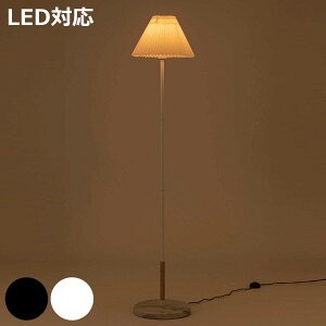 X^hCg LEDΉ SNAIL dt 嗝 tACg i v[c VF[h LED tA X^h ^ Cg tAv Ɩ X`[ g k _ Be[W 