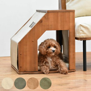 ybgxbh infinite ybgnEX i ybg xbh ybgp  L  VR ybgpnEX Vv X^CbV CeA ybgpi jy3980~ȏ㑗z