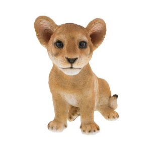 K[fI[ig CI i K[fjO I[ig fBXvC  u K[f}XRbg  GgX  K[f G CeA  EFJI[ig