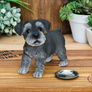 K[fI[ig ViEU[ ͂񂿂傤 i K[fjO I[ig fBXvC  u K[f}XRbg    GgX  K[f G CeA 