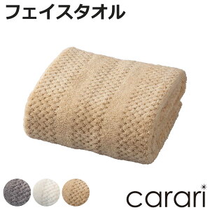 tFCX^I JgR i ^I }CNt@Co[ @^I @^I z  炩 n fC[^I tFCX  30×80cm ӂ g V  