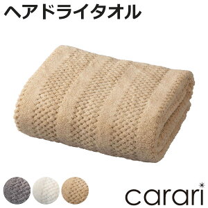 wAhC^I JgR i ^I }CNt@Co[ @^I z  炩 n fC[^I wA^I wAhC 40×100cm   ̖ ӂ g V