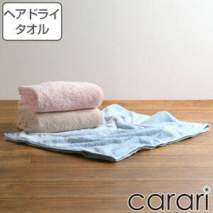 ヘアドライタオル マイクロファイバー カラリアース 40×100cm ( 顔拭きタオル デイリー 髪の毛 頭 湯上りタオル フェイス 吸水 速乾 無地 シンプル くすみカラー ) 【3980円以上送料無料】