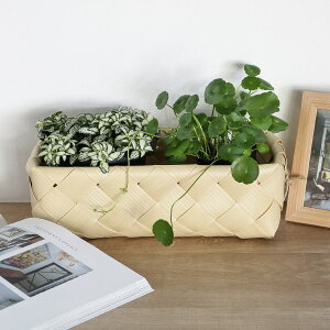 バスケット 幅30×奥行17×高さ10cm 洗える 収納ボックス カゴ ( 収納バスケット 角型 レクタングル 小物収納 小物入れ 収納 小物収納バスケット 野菜ストッカー キッチン収納 リビング収納 お