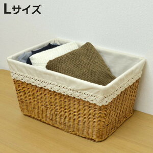 oXPbg VRf [X LTCY [ i 51.5×s36.5×28cm JS zt ҂  t [P[X [{bNX ` [ [JS 傫 Ci[t  