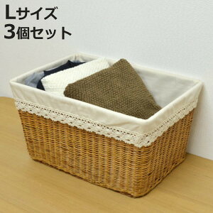 oXPbg VRf [X LTCY 3Zbg [ i 51.5×s36.5×28cm JS zt ҂  t [P[X ` [ [JS 傫 Ci[t  