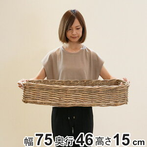 oXPbg ^ 75×s46×15 t  傫 i [ JS VRf R{     [ [oXPbg ^ ҂  e ق ^oXPb