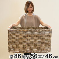楽天市場】特大 カゴの通販
