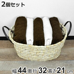  2Zbg \tgoXPbg CY ȉ~^ i 44×s32×21cm [ JS oXPbg VRf [  [ t 󂩂 󕨓 ʋC [oXPbg