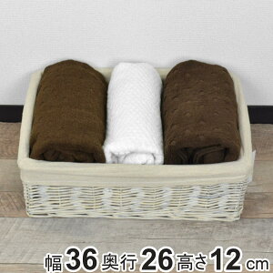 [oXPbg O[ J[{bNX ^ Ci[zt i 36×s26×12cm [{bNX Ci[{bNX  JS oXPbg z u  [P[X ᔠ 