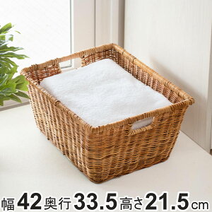  oXPbg [  42×s33.5×21.5cm VRf i JS [ h[ AWA 䊑 X^bLO [ 傫 h[oXPbg  [P[X [{bNX 