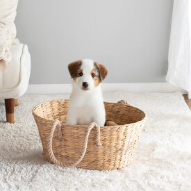 ペット ベッド ヒヤシンス ハンドル付きバスケット （ ペットベッド 犬 クッション付き 猫 天然素材 バスケット ペット用バスケット お見送り かご ペット用ベッド 犬用 猫用 ペット用 ナチュラル おしゃれ ハンドル付 メモリアル ）【3980円以上送料無料】