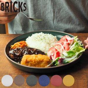 v[g 24cm L BRICKS ubNX  Z i HΉ dqWΉ M M ێM M M Eh  pX^M J[M pX^ J[ v[g  j y3980~ȏ㑗