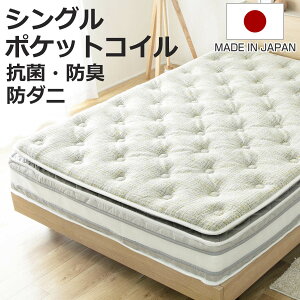 Ɍs[gbv d̑Iׂ }bgX VO TCYCG[ NoWay! i Ɍ s[gbv Iׂd ̈U R hL h_j { 27cm _炩 WXg d L