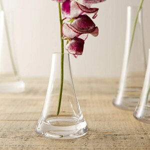 花瓶 fuji フジ 直径7.5×高さ11cm ( 花ビン 花びん 花器 ベース ガラスベース フラワー 花 飾る 一輪挿し 花入れ ガラス ガラス製 ハンドメイド 手作り クリア 透明 細口 )【3980円以上送料無料