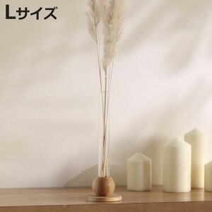 ԕr BAUM oI a8×24cm t[x[X L i Ԃт Ԋ x[X KXx[X Ebhx[X ֑} t[   ԓ KX KX VR ؐ Ebh  ّf jy3980